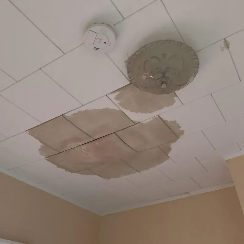 Ceiling Water Damage Repair in Raynham Center, MA